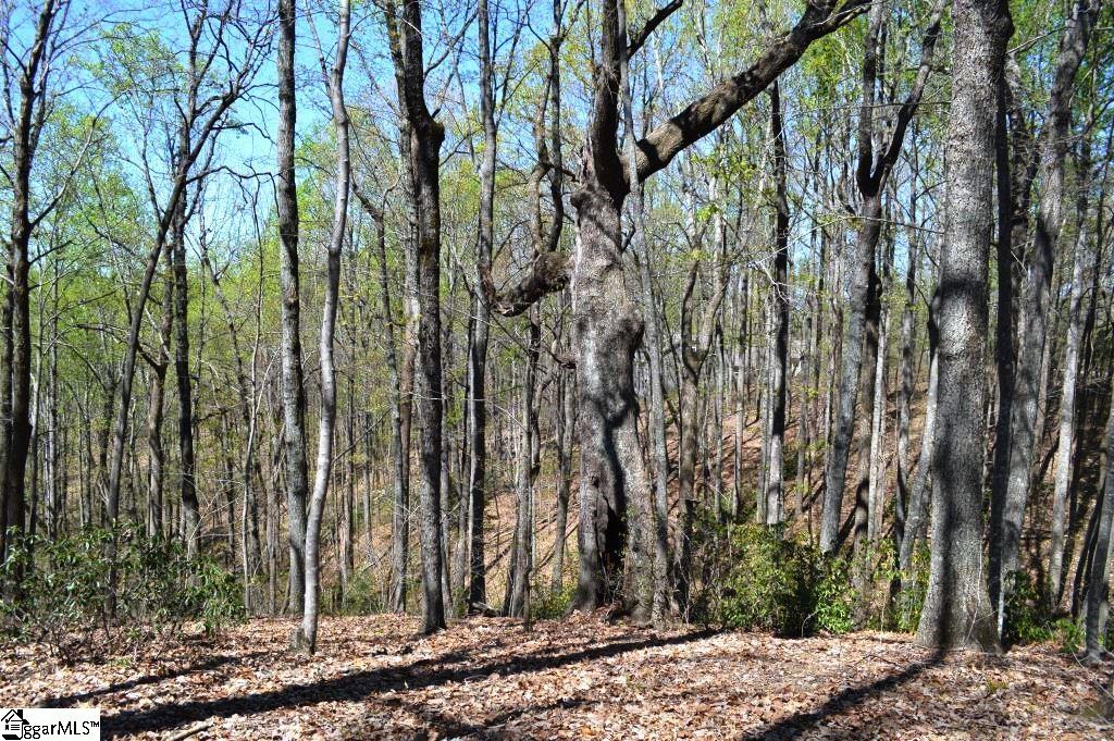 309 Laurel Valley Way Travelers Rest, SC 29690 - Photo 7 of 14