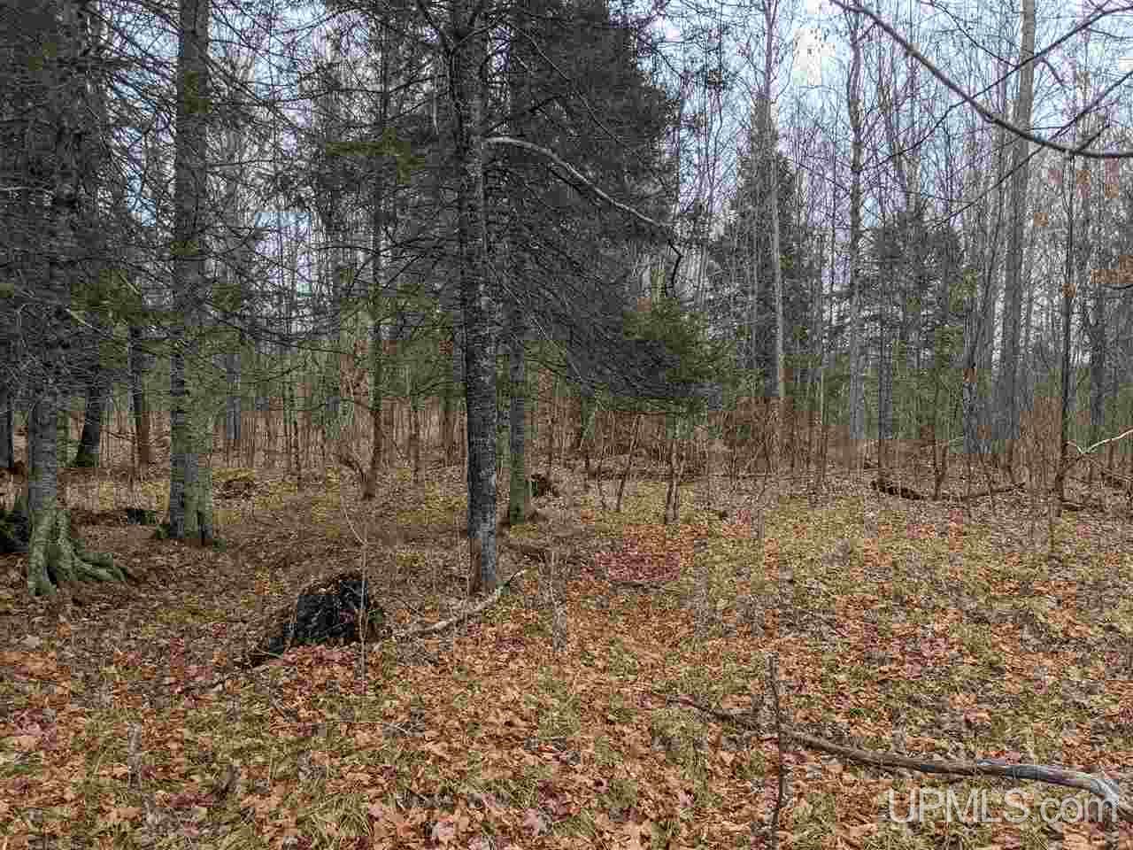 Tbd Tbd Unnamed Road Cornell, MI 49818 - Photo 10 of 10