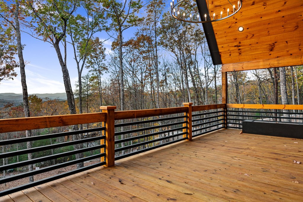 307 Cohutta Overlook Drive Blue Ridge, GA 30513 - Photo 52 of 61 Gallery Image 52