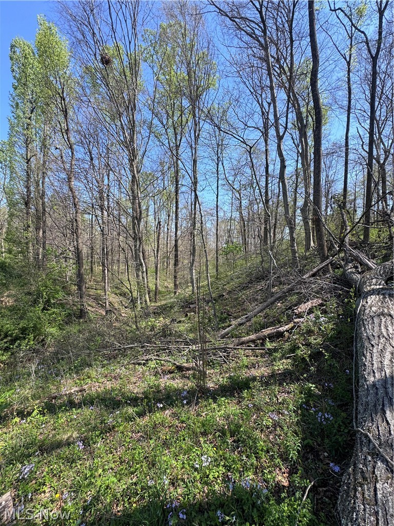 397 South Elliott Road Malta, OH 43758 - Photo 17 of 37