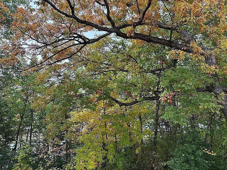 7783 Kingsview Lane North Maple Grove, MN 55311 - Photo 29 of 31