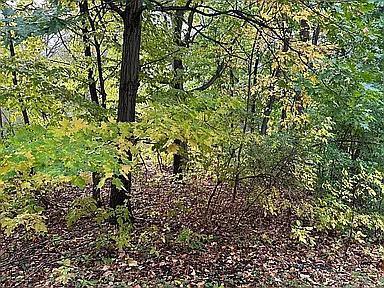 7783 Kingsview Lane North Maple Grove, MN 55311 - Photo 30 of 31