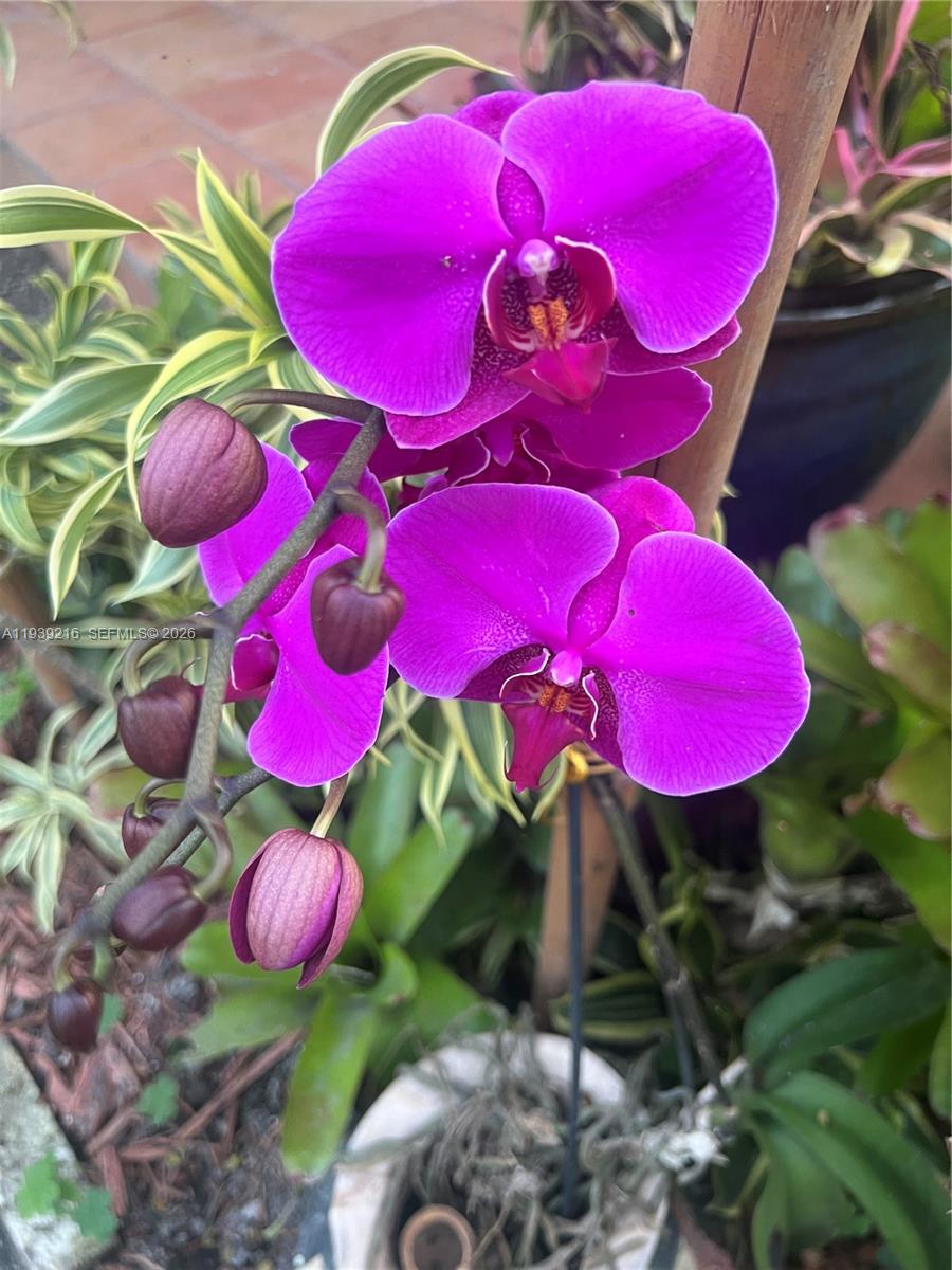 17540 Southwest 254th Street Homestead, FL 33031 - Photo 27 of 85