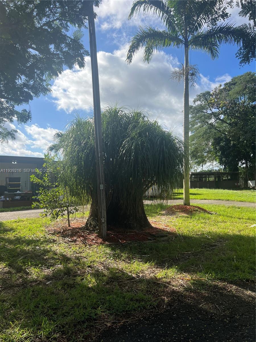 17540 Southwest 254th Street Homestead, FL 33031 - Photo 49 of 85 a view of a park with large trees