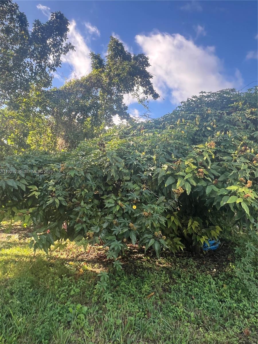 17540 Southwest 254th Street Homestead, FL 33031 - Photo 55 of 85