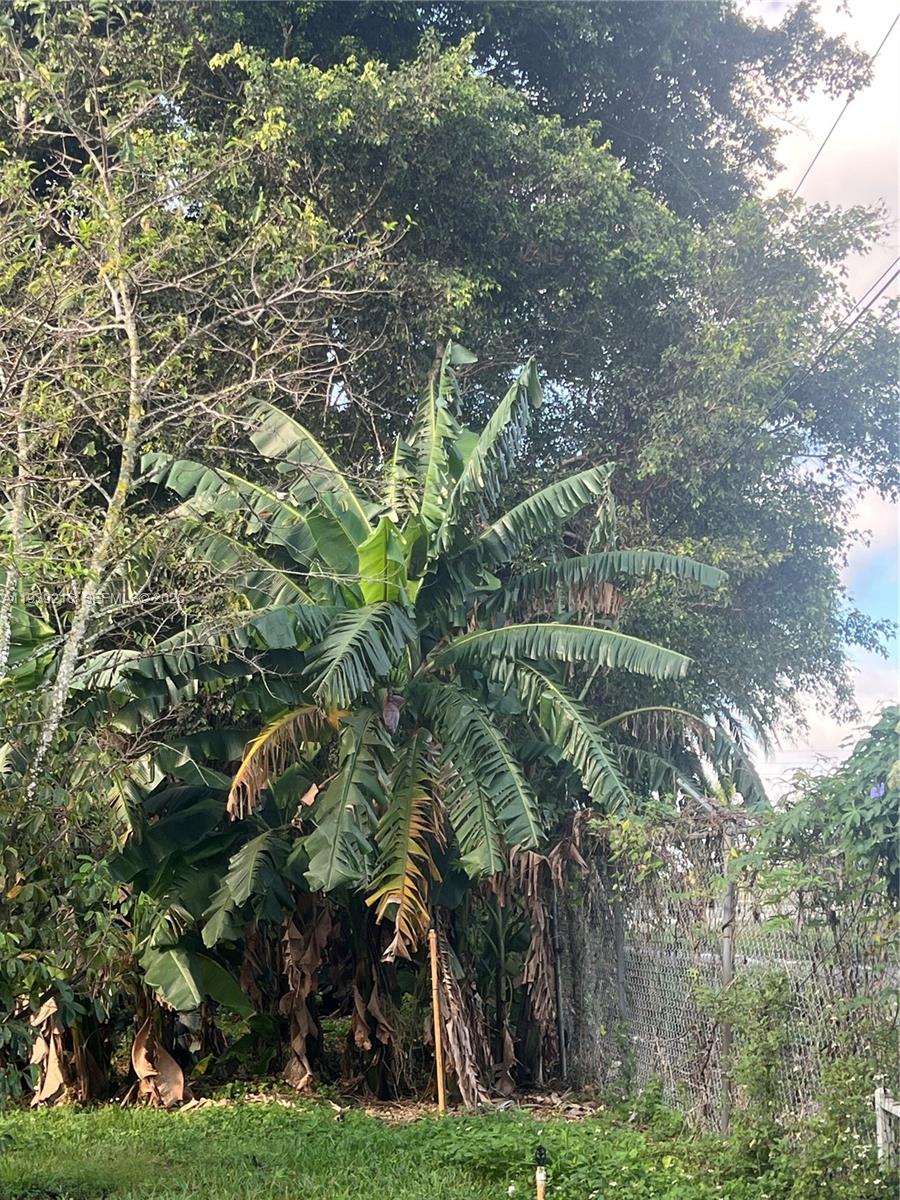 17540 Southwest 254th Street Homestead, FL 33031 - Photo 57 of 85 a view of a yard