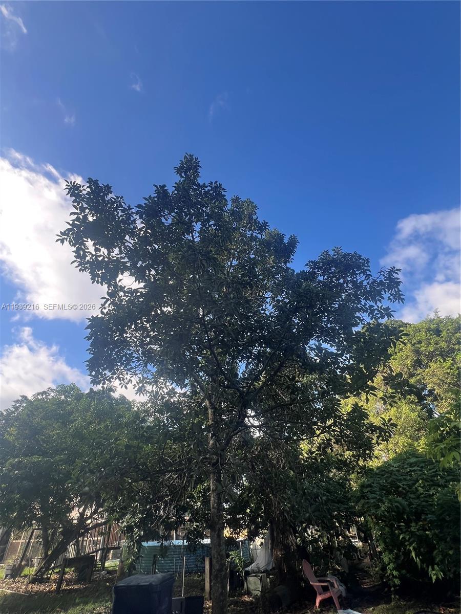 17540 Southwest 254th Street Homestead, FL 33031 - Photo 58 of 85