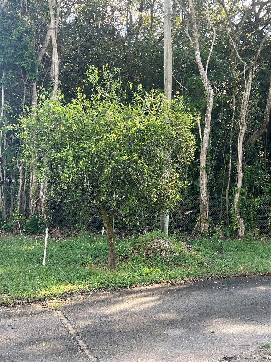 17540 Southwest 254th Street Homestead, FL 33031 - Photo 61 of 85 a green field with trees in the background