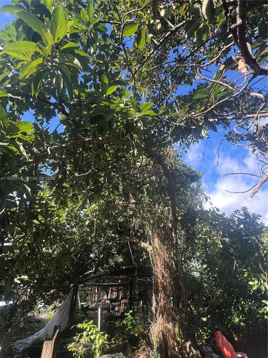 17540 Southwest 254th Street Homestead, FL 33031 - Photo 62 of 85