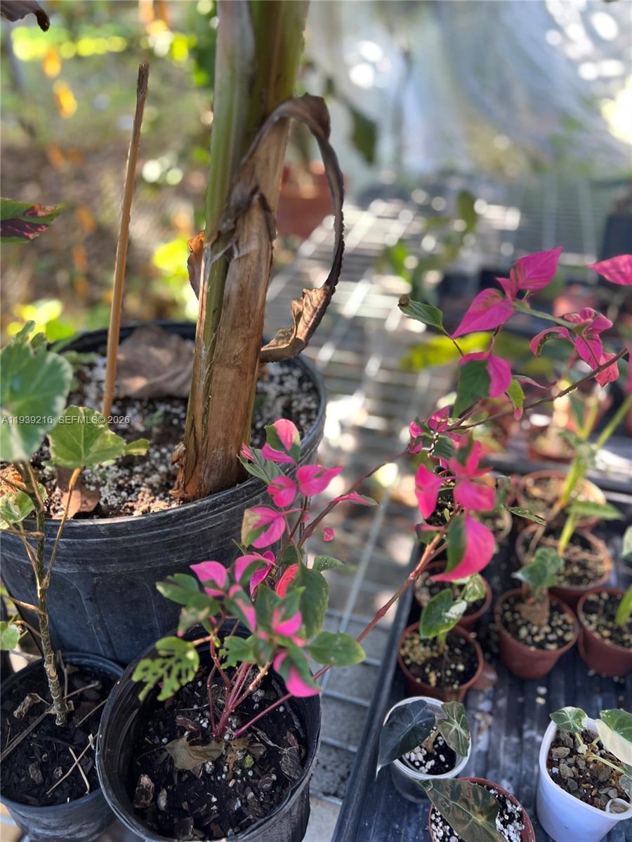 17540 Southwest 254th Street Homestead, FL 33031 - Photo 79 of 85