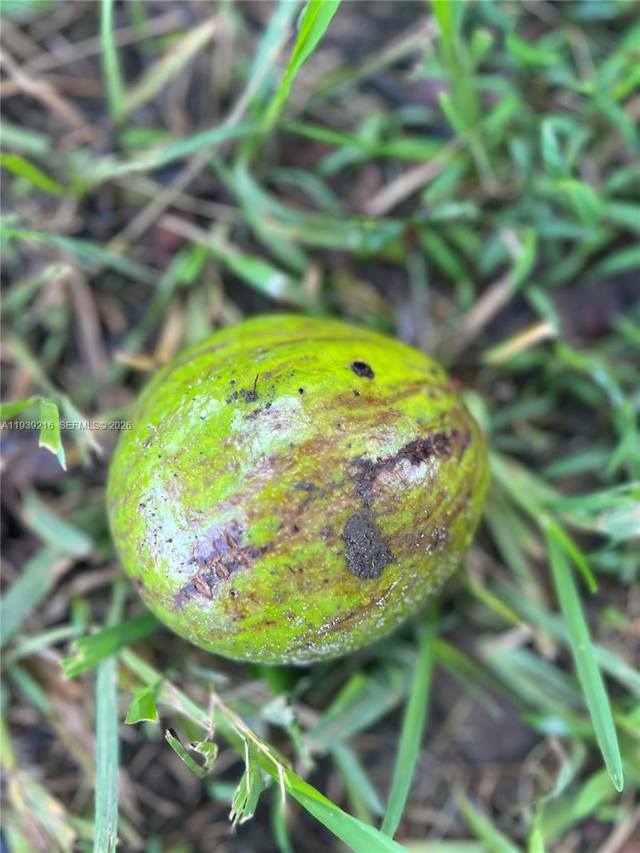 17540 Southwest 254th Street Homestead, FL 33031 - Photo 81 of 85