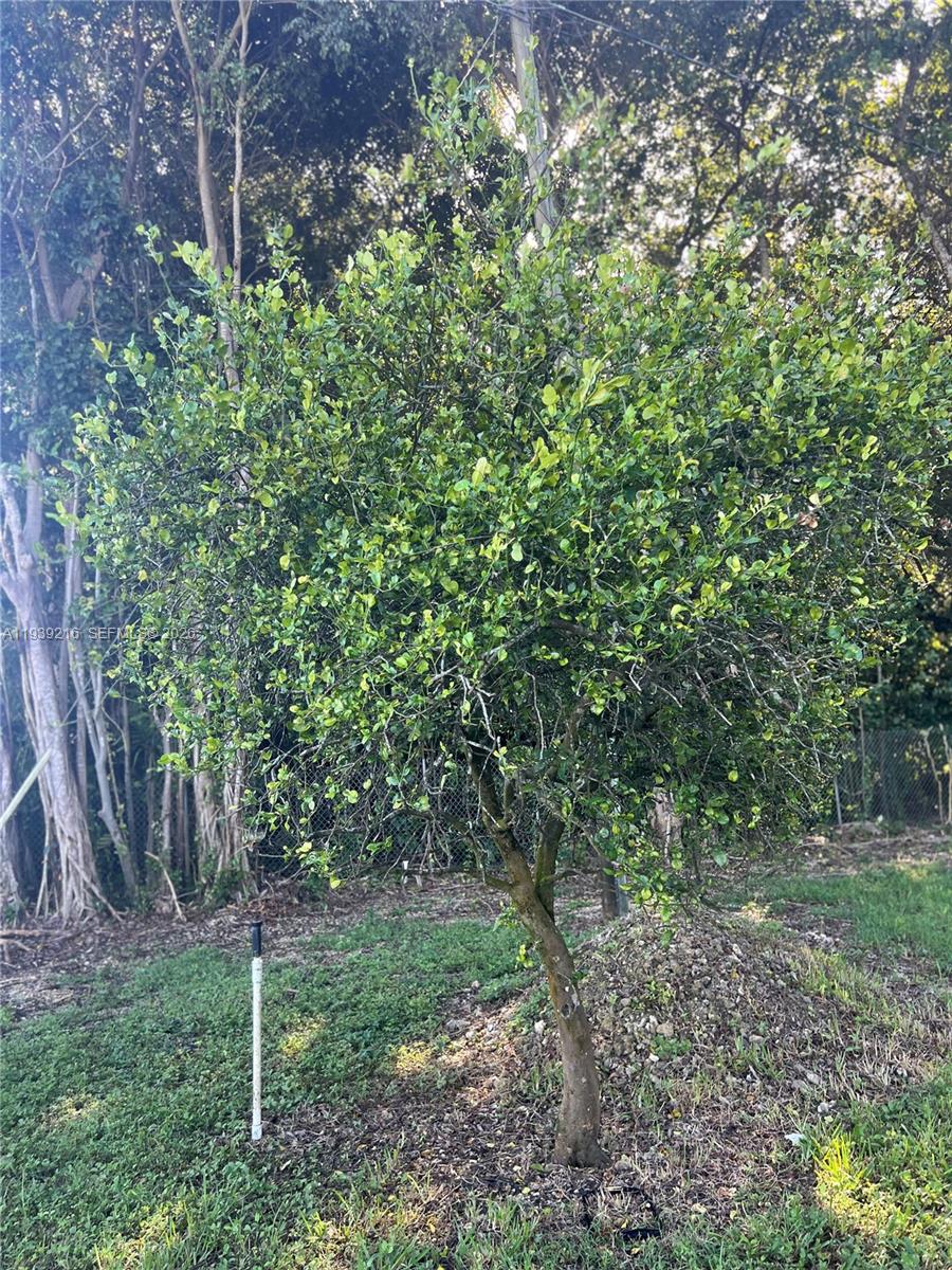 17540 Southwest 254th Street Homestead, FL 33031 - Photo 82 of 85