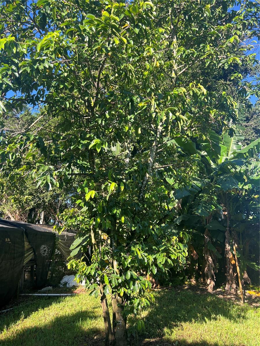 17540 Southwest 254th Street Homestead, FL 33031 - Photo 83 of 85