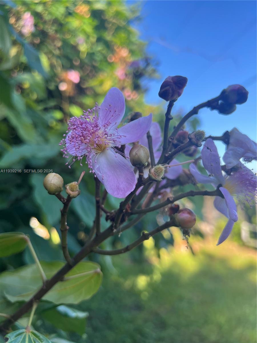 17540 Southwest 254th Street Homestead, FL 33031 - Photo 84 of 85