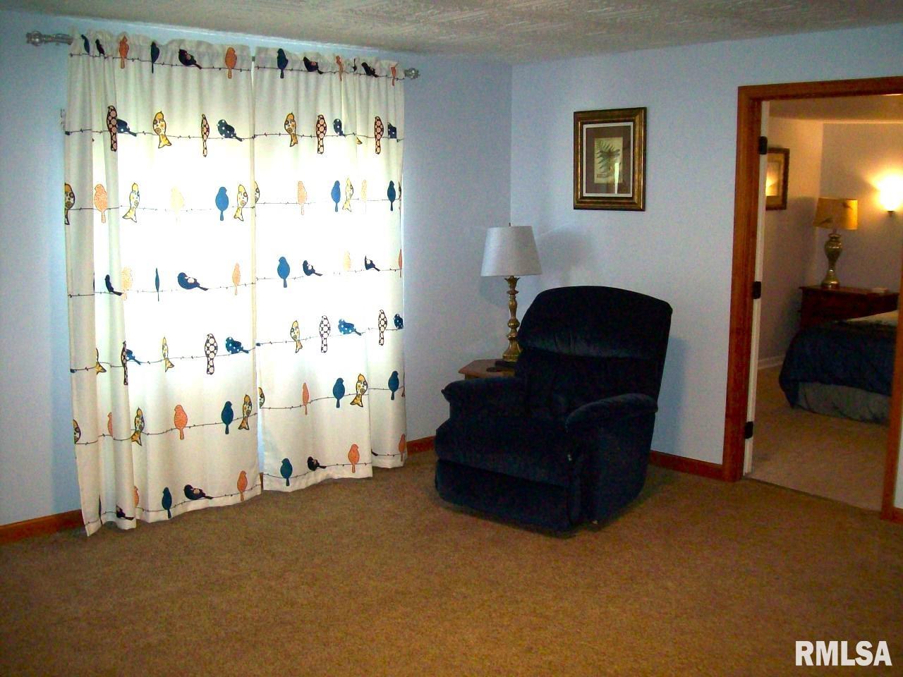 506 Alsey Smith Road Alsey, IL 62694 - Photo 9 of 31 Gallery Image 9
