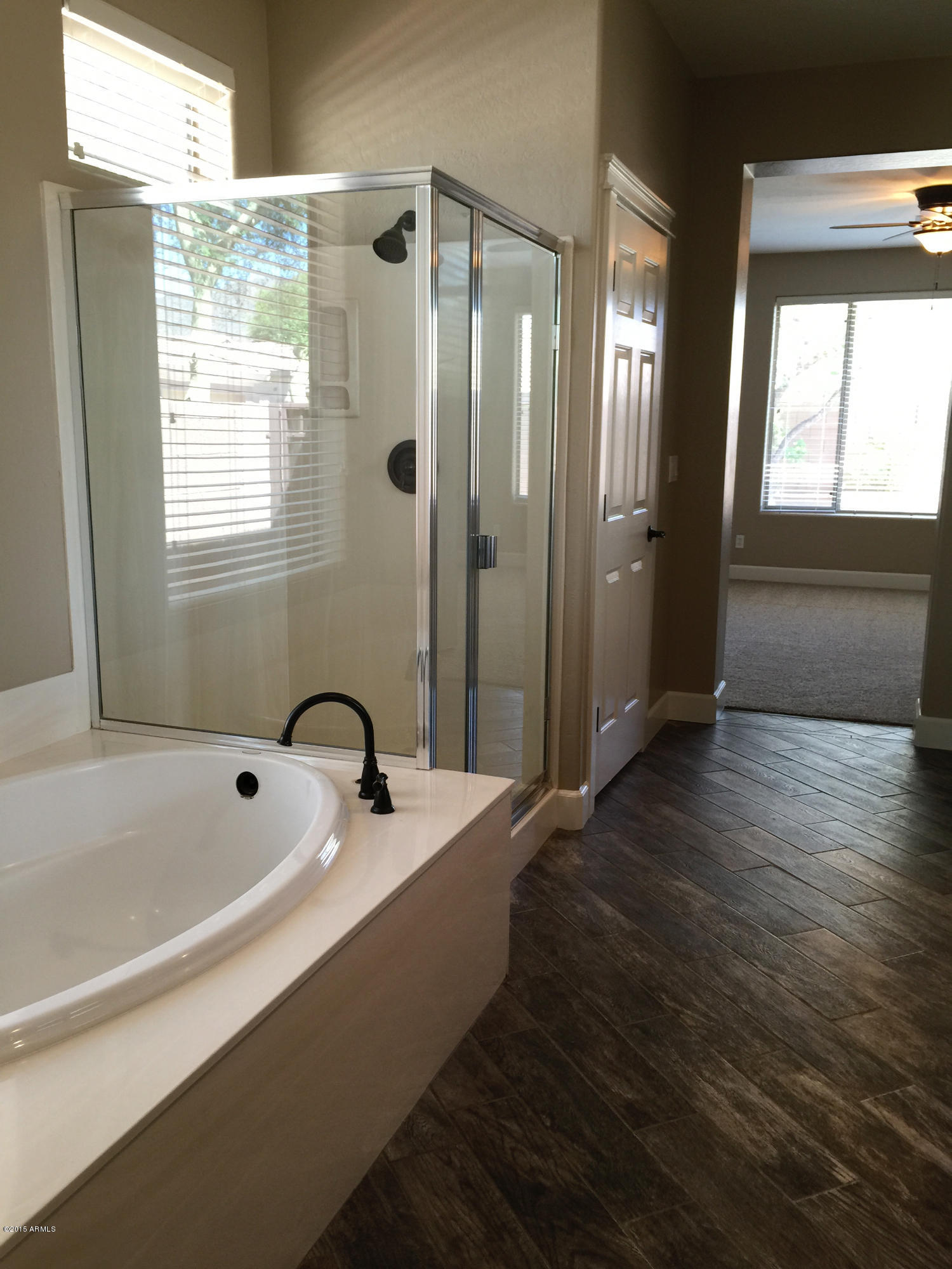 41555 North Clear Crossing Road Anthem, AZ 85086 - Photo 12 of 17 IMG_1121