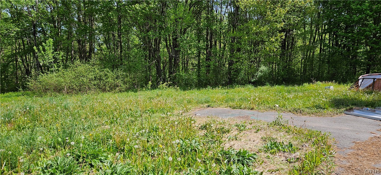 214 Baum Road Hastings, NY 13076 - Photo 8 of 8