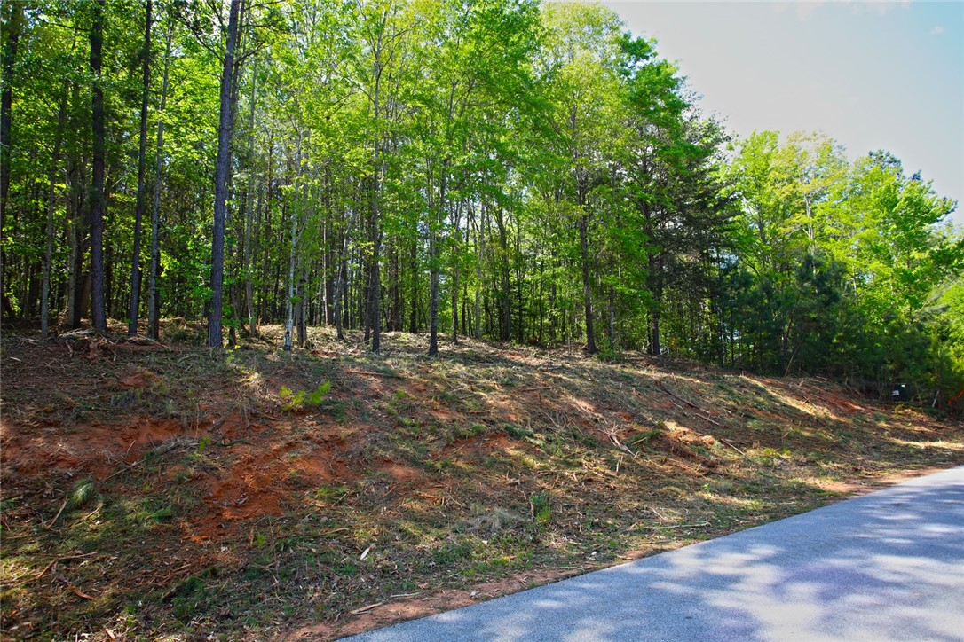 Lot 91 Harbor Point Seneca, SC 29672 - Photo 19 of 24 Mature trees frame this expansive lot, offering a verdant backdrop for your future home.