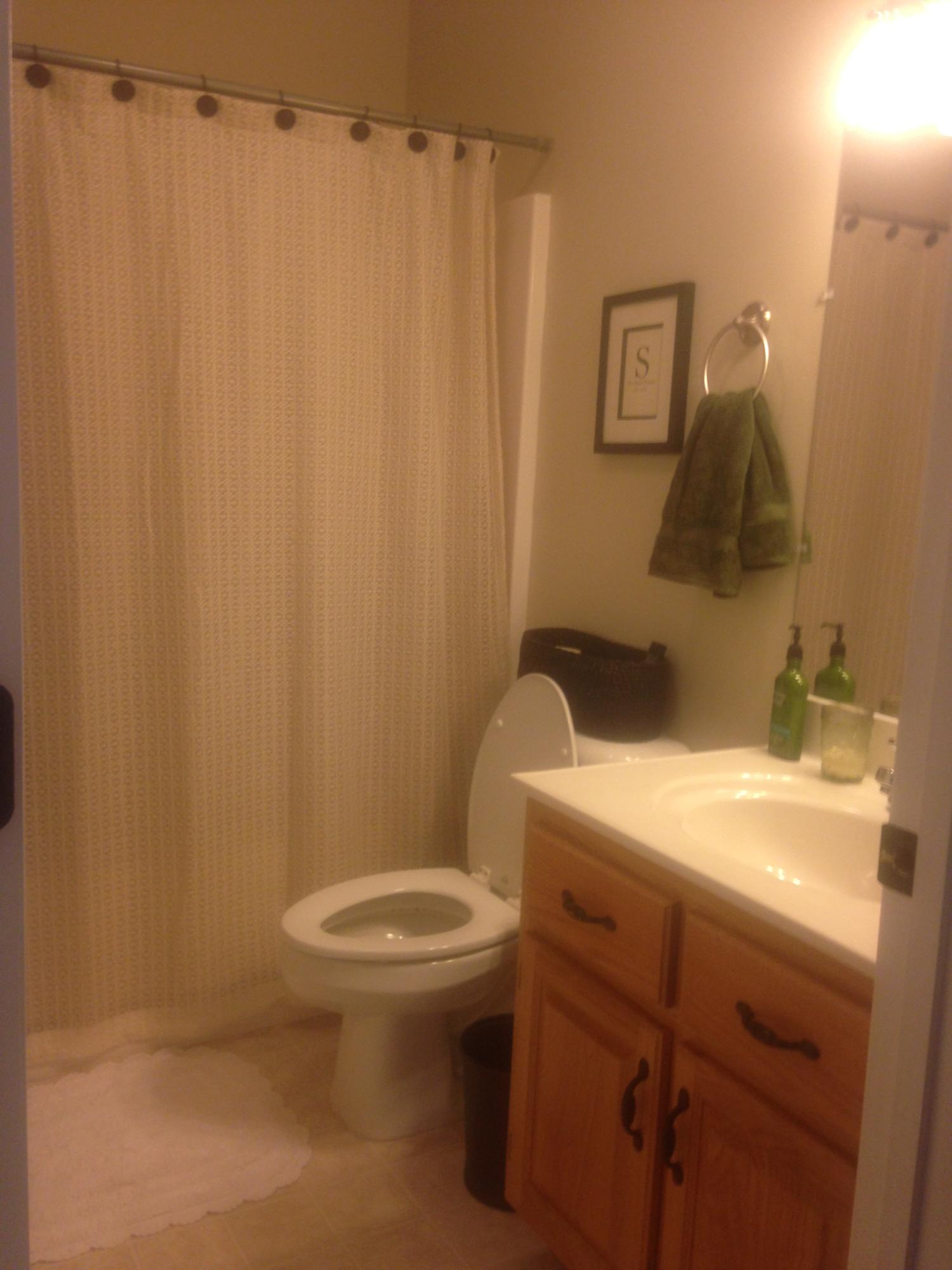 1589 New Home Road Trenton, GA 30752 - Photo 3 of 5 Guest Bath