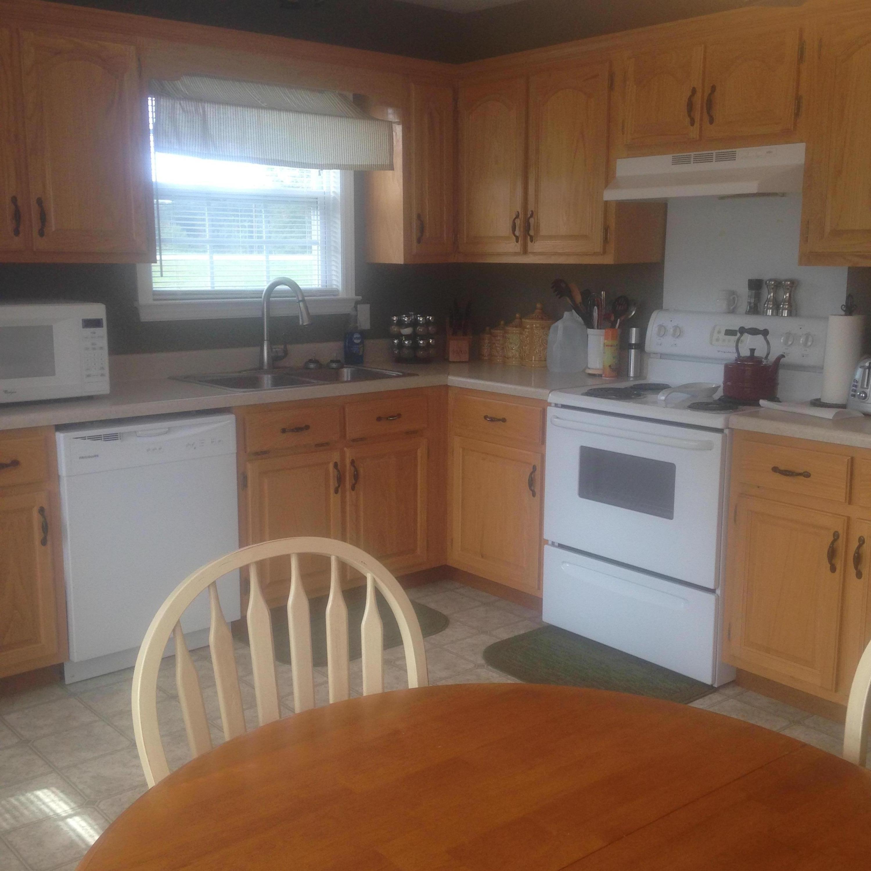 1589 New Home Road Trenton, GA 30752 - Photo 4 of 5 Kitchen