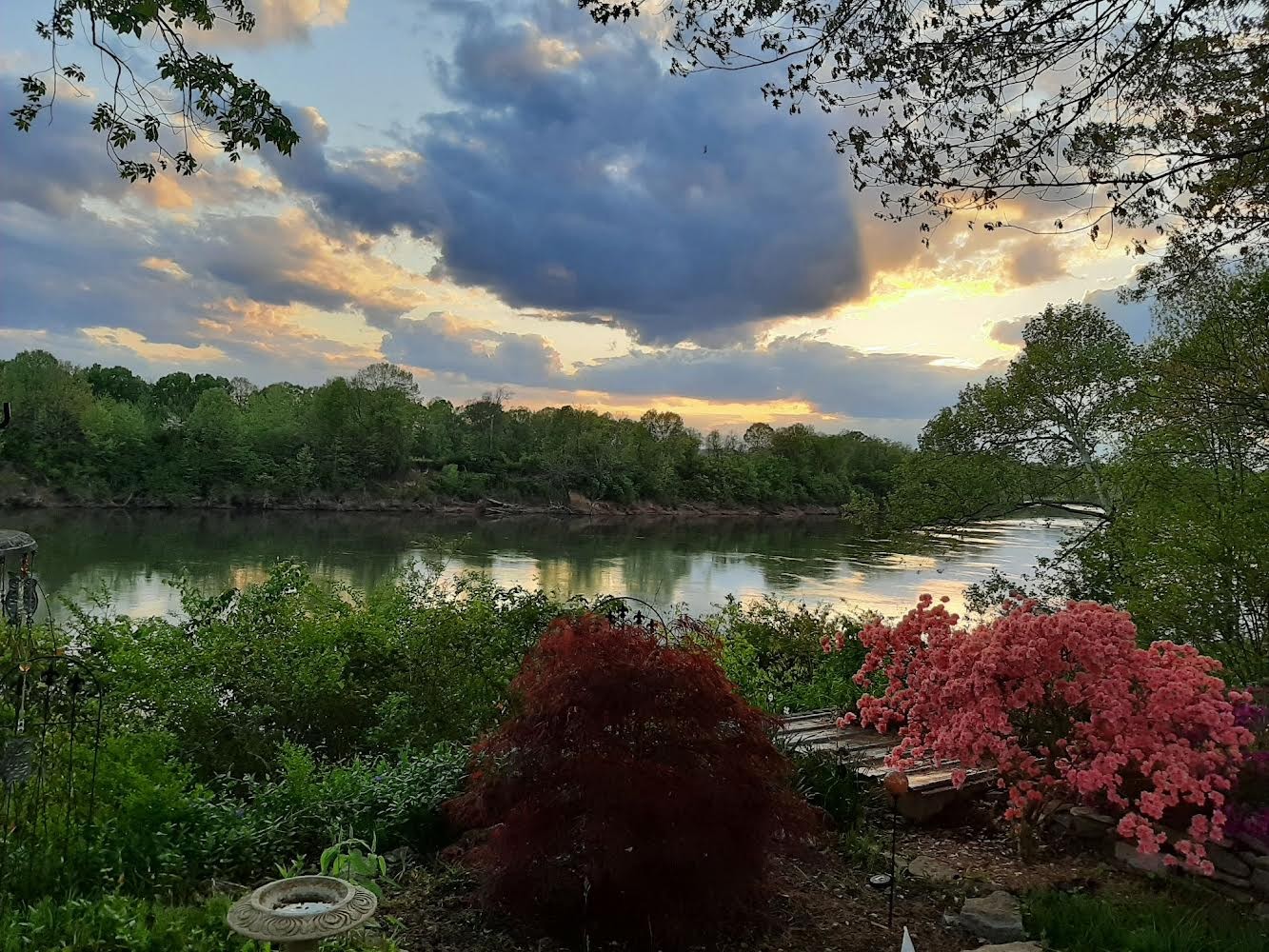1108 Berwick Trail Madison, TN 37115 - Photo 47 of 54 a view of a lake from a yard
