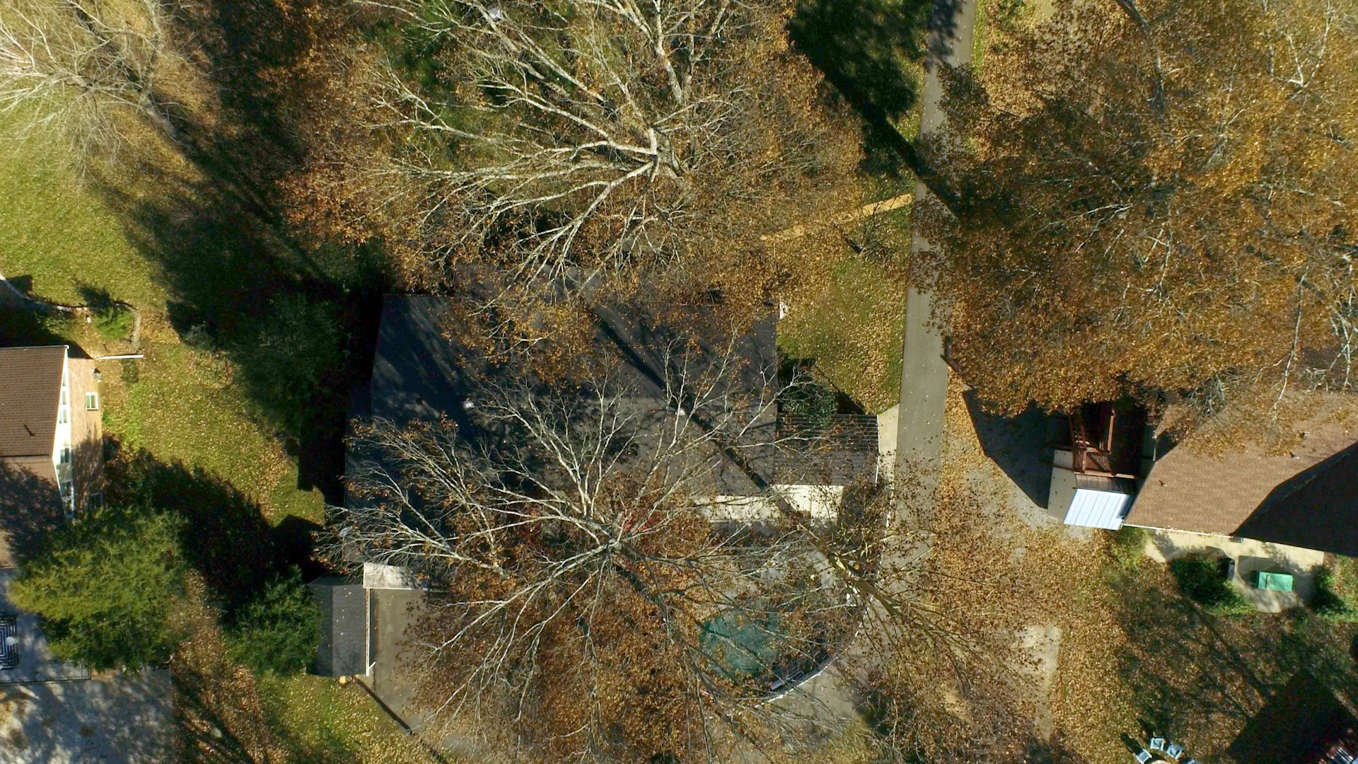 1108 Berwick Trail Madison, TN 37115 - Photo 51 of 54 a view of outdoor space