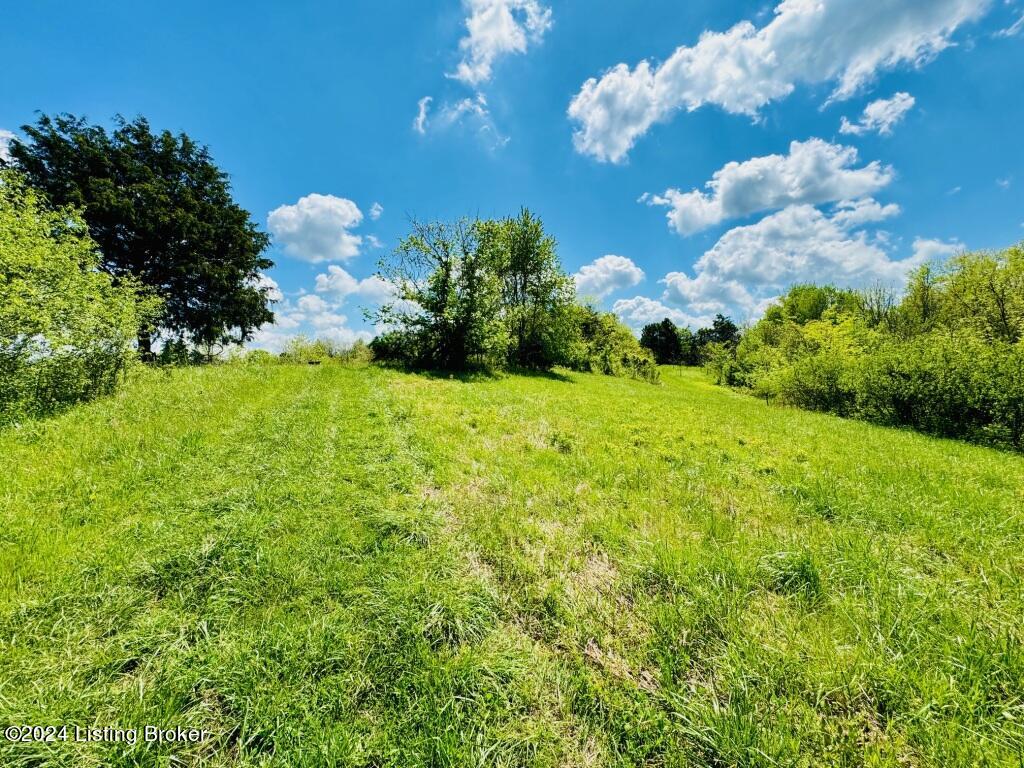 901 Haydon Bros Road Springfield, KY 40069 - Photo 10 of 14 IMG_8286