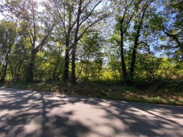 126 Dodge Hill Road Sutton, MA 01590 - Photo 13 of 13 a view of outdoor space and yard