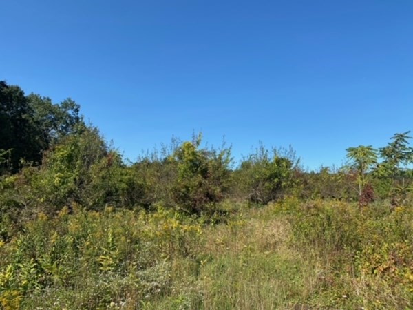 126 Dodge Hill Road Sutton, MA 01590 - Photo 2 of 13 a view of a field of grass and trees