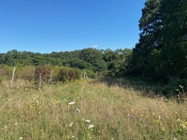 126 Dodge Hill Road Sutton, MA 01590 - Photo 4 of 13 a view of a lake with a mountain in the background