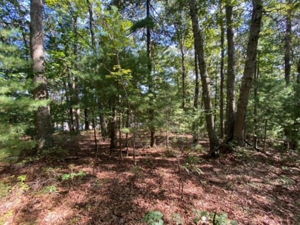 126 Dodge Hill Road Sutton, MA 01590 - Photo 7 of 13 a view of outdoor space and trees