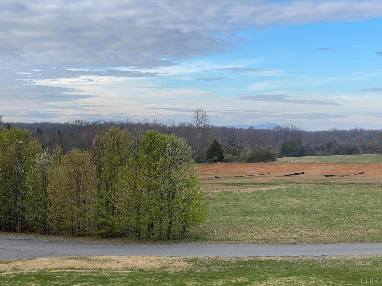 107 Manor Drive Forest, VA 24551 - Photo 19 of 20