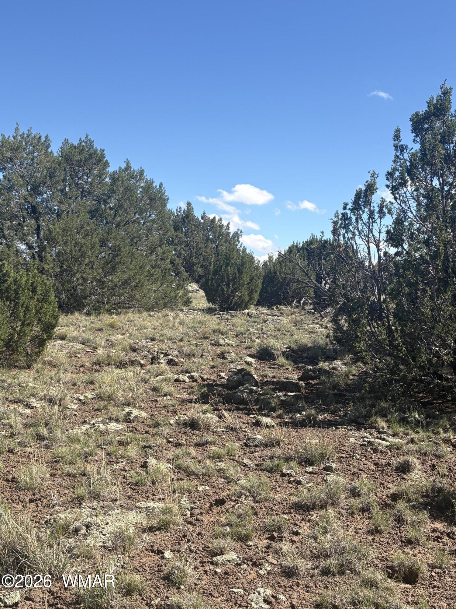 201 County Road Concho, AZ 85924 - Photo 3 of 5