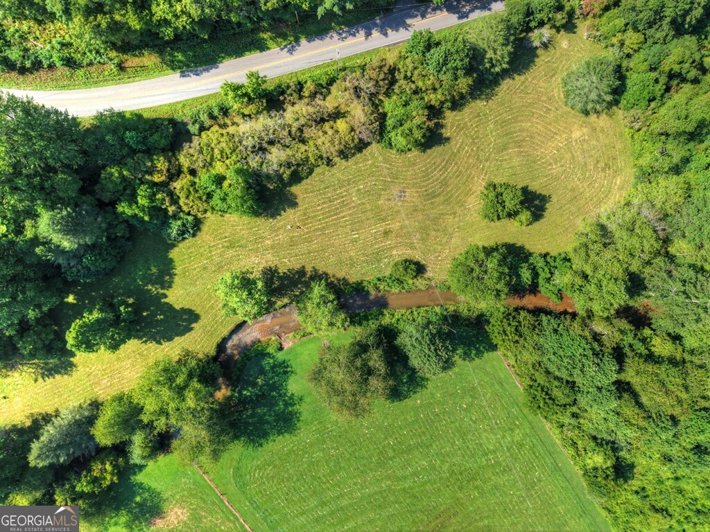 0 Hwy 2 Blue Ridge Blue Ridge, GA 30513 - Photo 12 of 20 a view of a garden