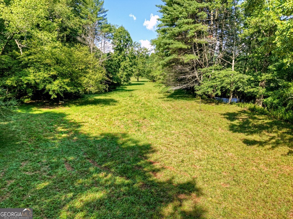0 Hwy 2 Blue Ridge Blue Ridge, GA 30513 - Photo 18 of 20 a view of yard with green space