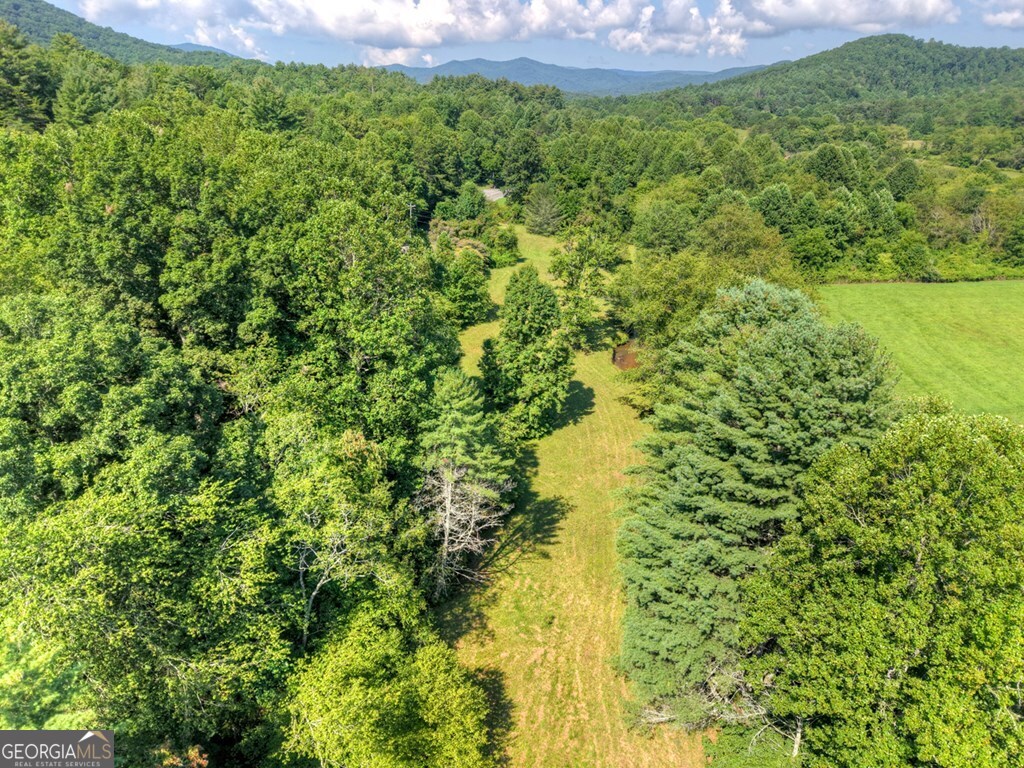 0 Hwy 2 Blue Ridge Blue Ridge, GA 30513 - Photo 19 of 20 a view of a garden