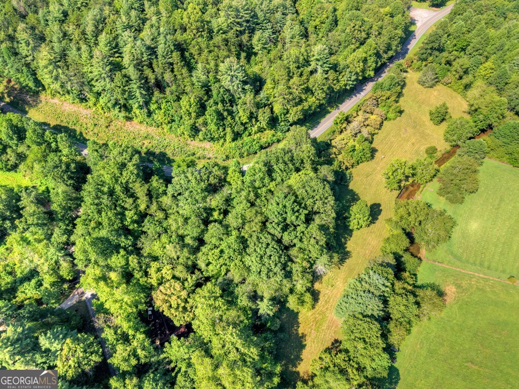 0 Hwy 2 Blue Ridge Blue Ridge, GA 30513 - Photo 20 of 20 a view of a garden