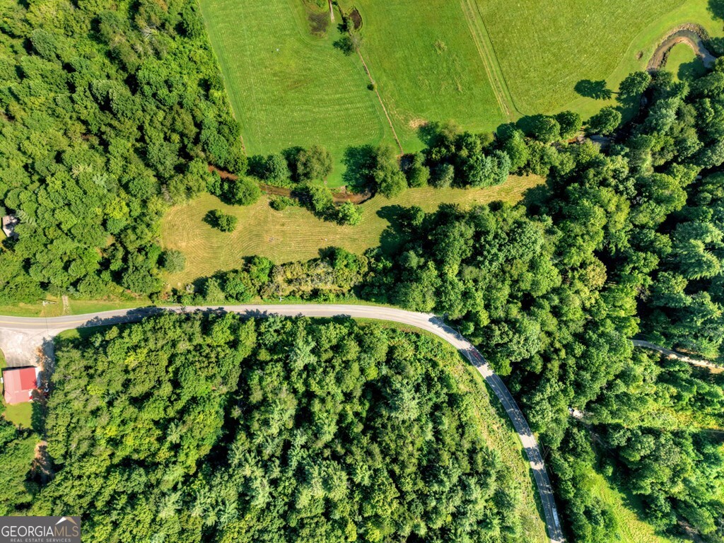 0 Hwy 2 Blue Ridge Blue Ridge, GA 30513 - Photo 2 of 20 a view of a garden