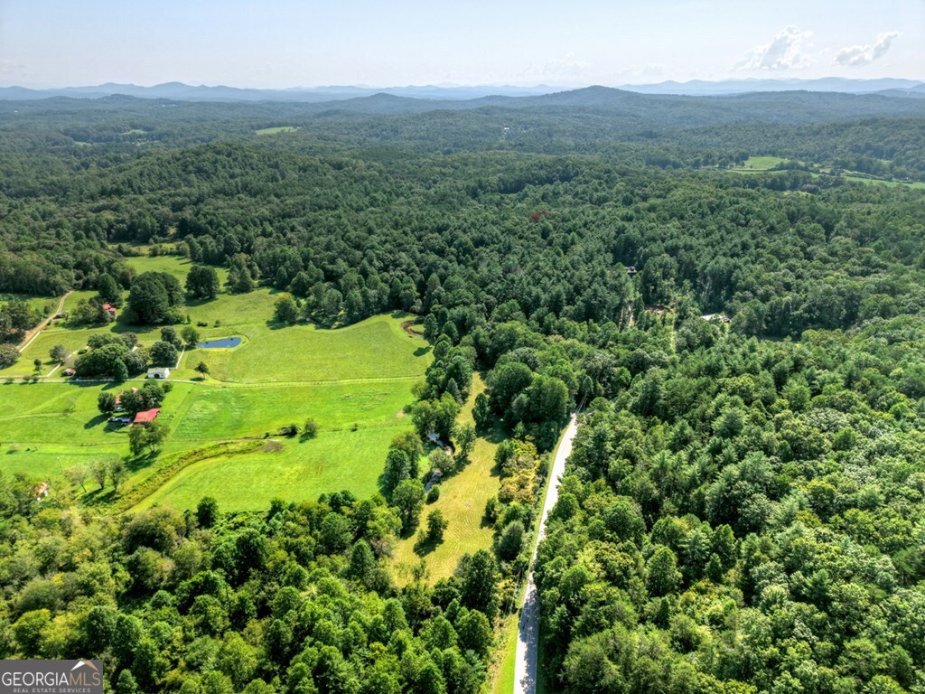 0 Hwy 2 Blue Ridge Blue Ridge, GA 30513 - Photo 6 of 20 a view of a lush green forest with trees and some houses