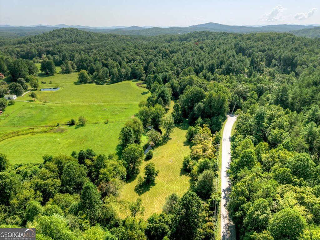 0 Hwy 2 Blue Ridge Blue Ridge, GA 30513 - Photo 7 of 20 a view of a lake with a forest