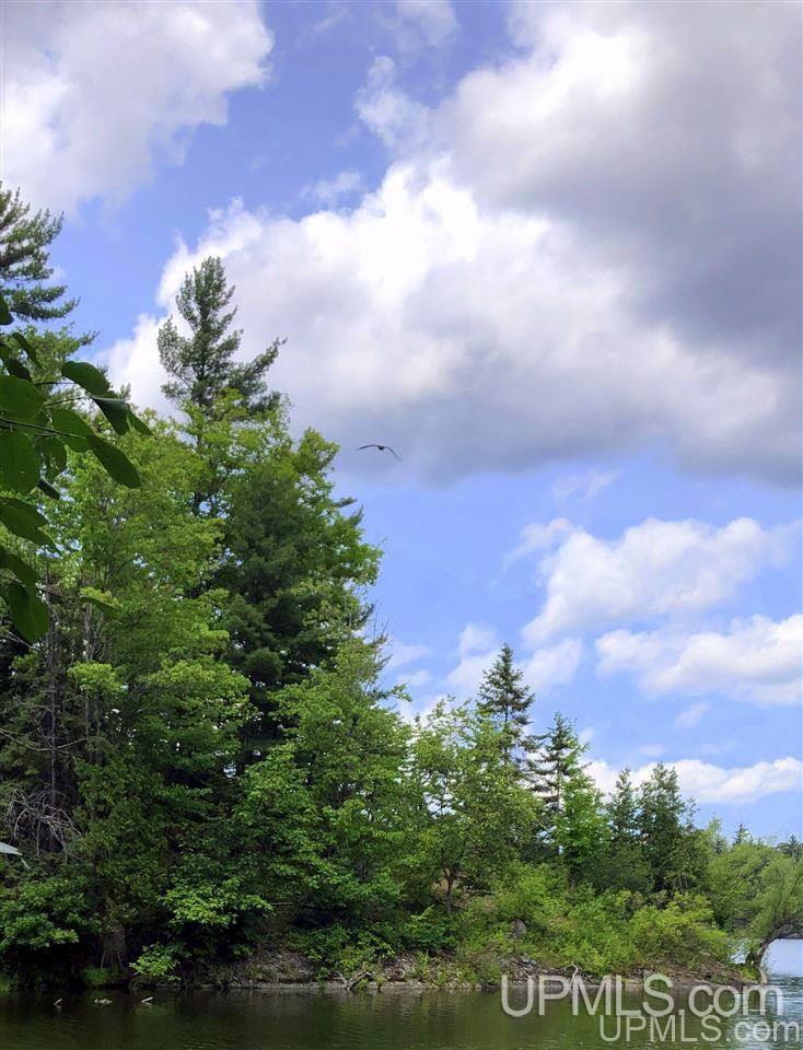 Tbd Deer Lake Road Ishpeming, MI 49849 - Photo 29 of 47