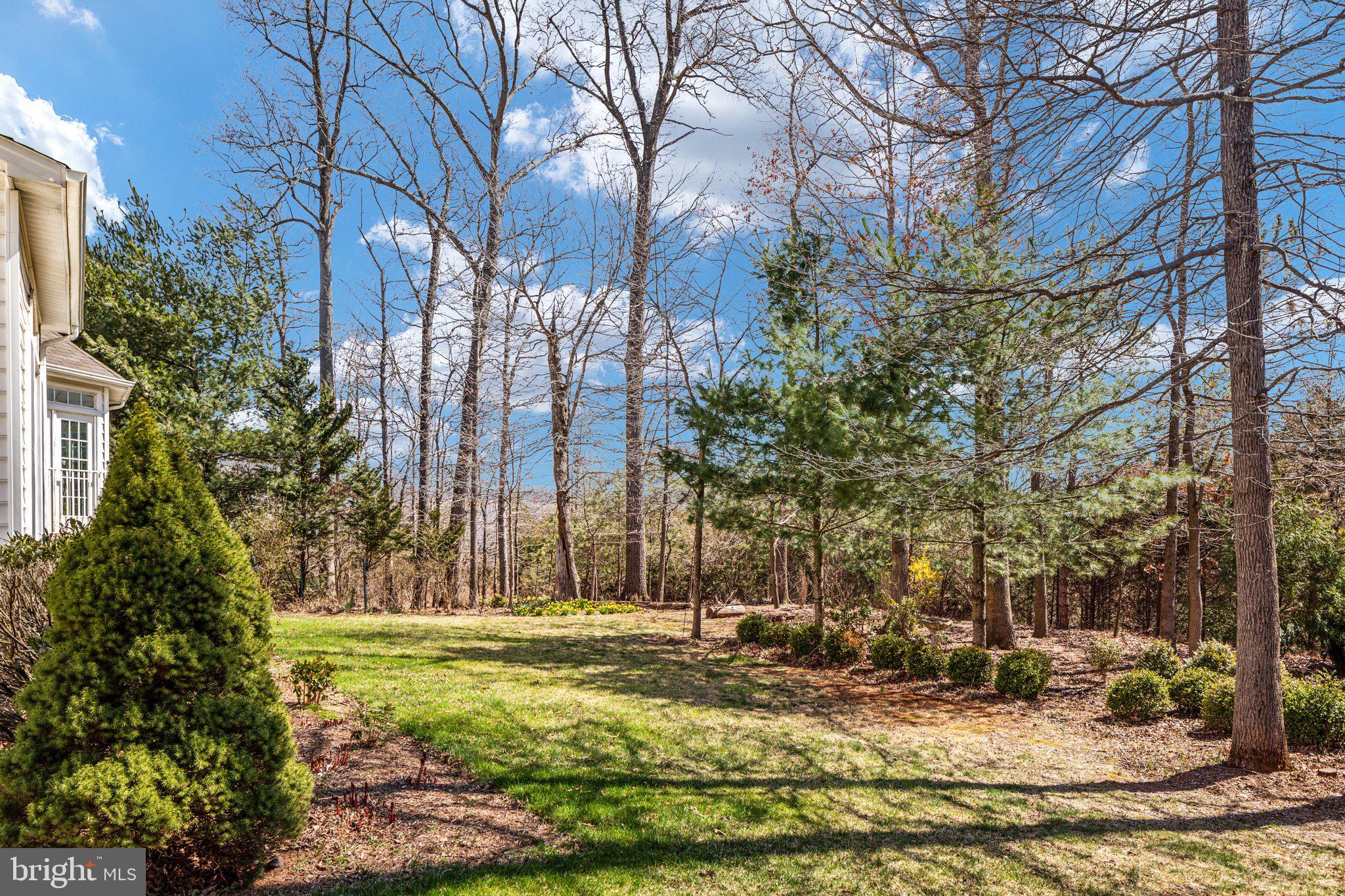 5664 Lick River Lane Gainesville, VA 20155 - Photo 38 of 43 backyard has been lovingly maintained