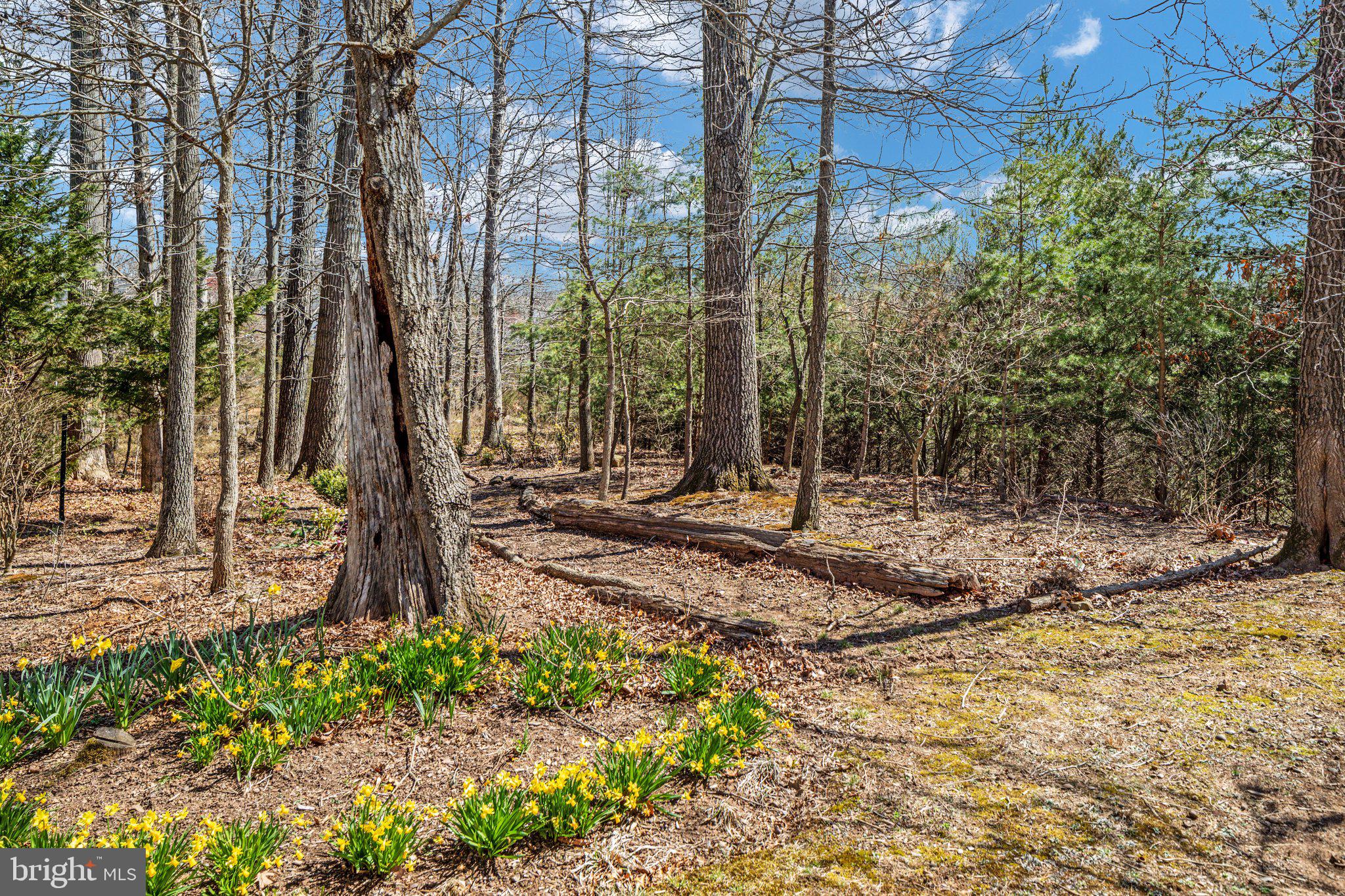 5664 Lick River Lane Gainesville, VA 20155 - Photo 40 of 43 the home sits on .69 of an acre