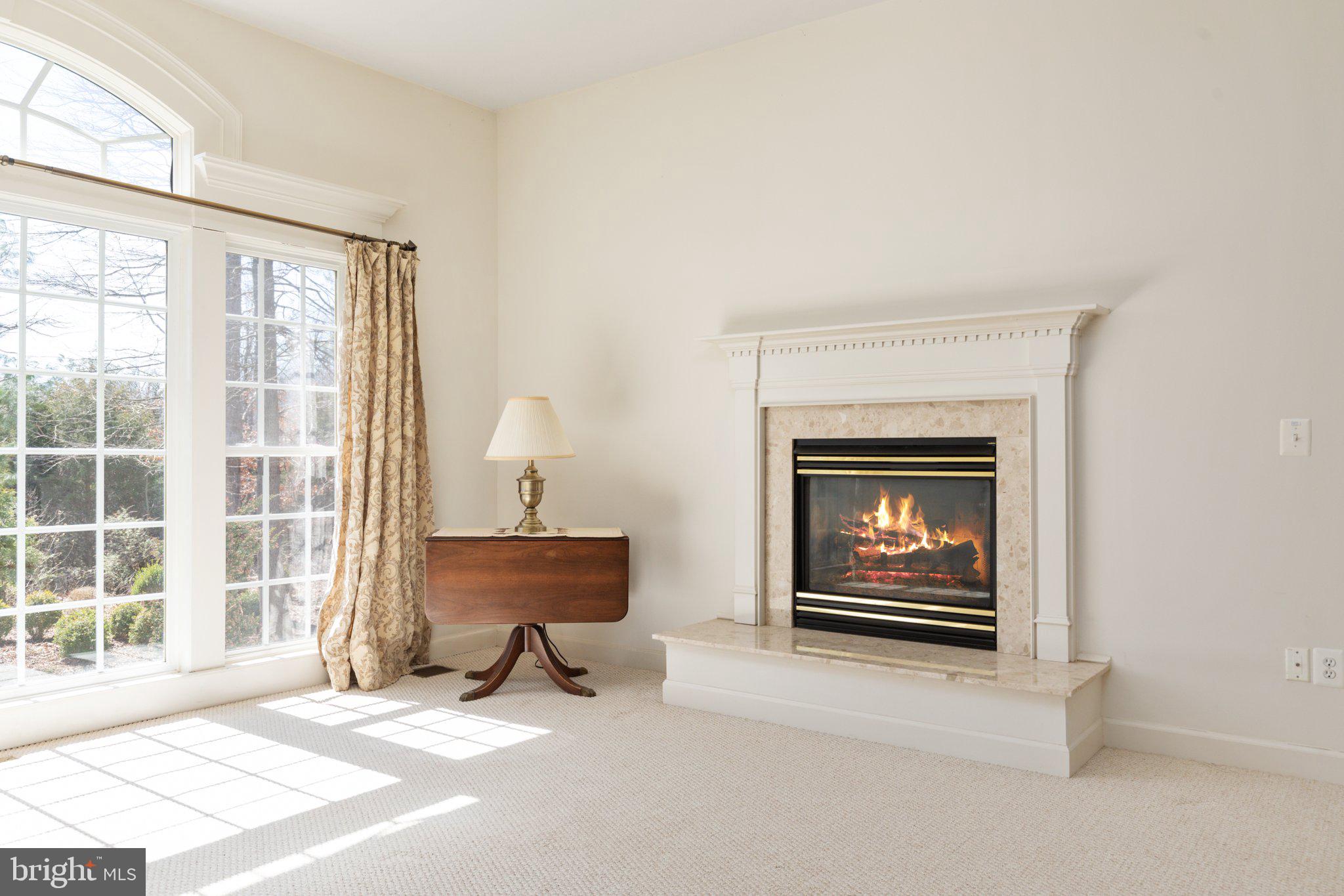 5664 Lick River Lane Gainesville, VA 20155 - Photo 10 of 43 beautiful gas fireplace with hearth