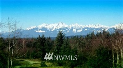 B5 A East Rasor Road Belfair, WA 98528 - Photo 1 of 1 Gallery Image 1