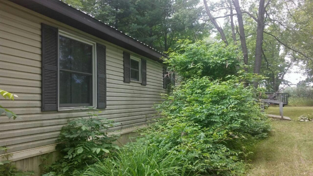 271 Taylor Road Blanchard, MI 49310 - Photo 5 of 8 3893