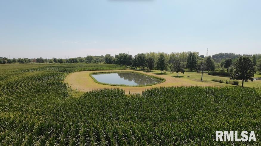 0 Dunn Road Camanche, IA 52730 - Photo 2 of 4 a view of outdoor space and yard