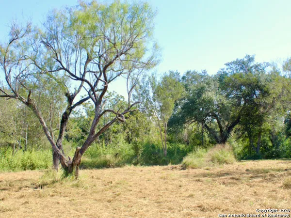 a view of a yard covered with snow in front of house
