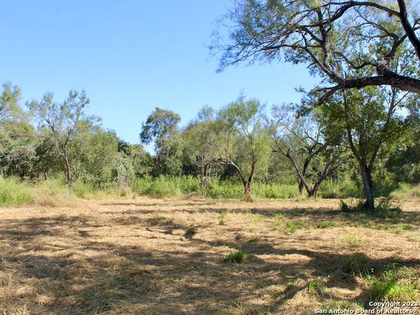 a view of dirt yard with a large tree