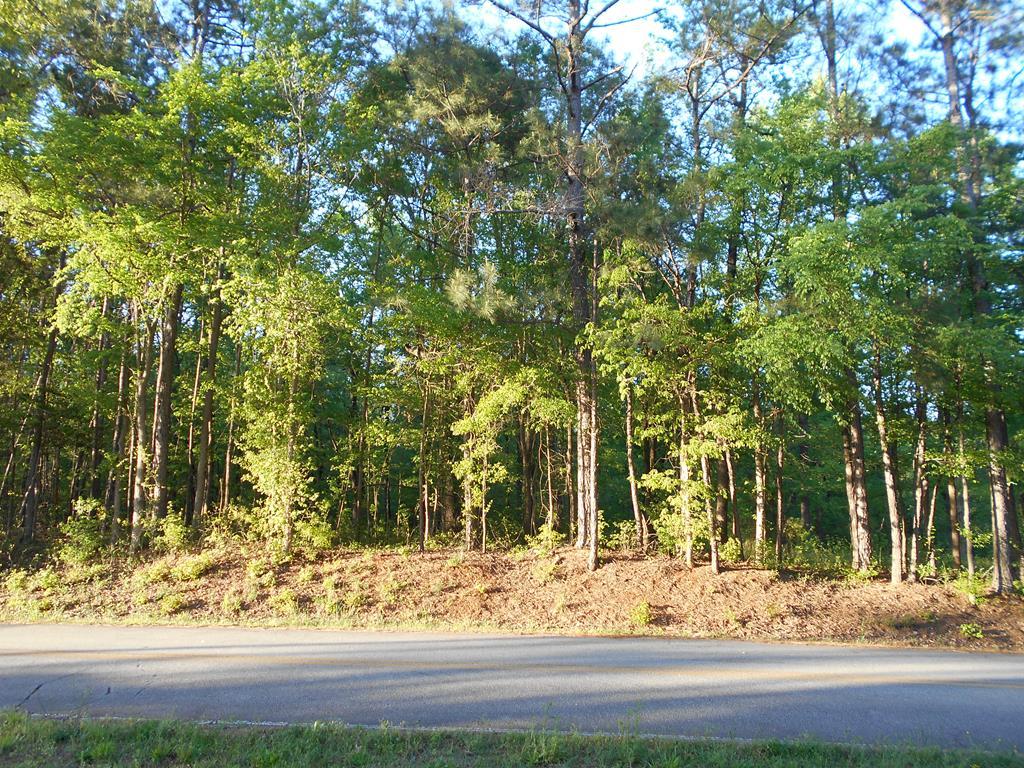 0 Edge Road, Unit 1 Forsyth, GA 31029 - Photo 1 of 2 a view of a yard and tree